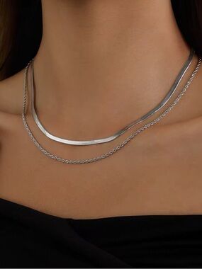 Double Layer Stainless Steel Silver Tone Necklace